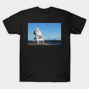 Icelandic Viking on the coast T-Shirt